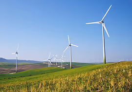 WinterGreen Research – main gallery image