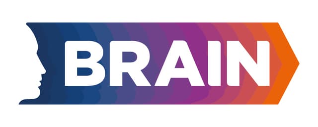 Brand Investigation, SA de CV logo