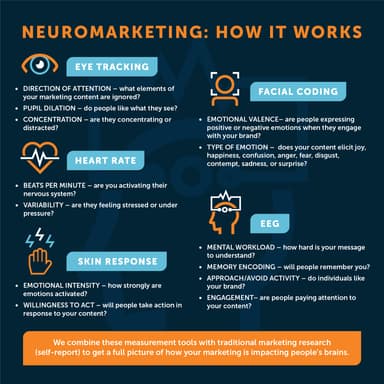 Flying Horse – gallery image 6