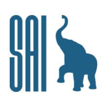 South Asian Insights LLC logo