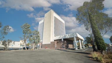 MindFull Quality Research Support – gallery image 5