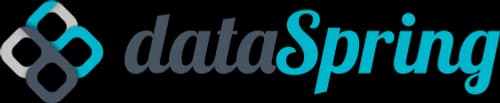 dataSpring, Inc. logo