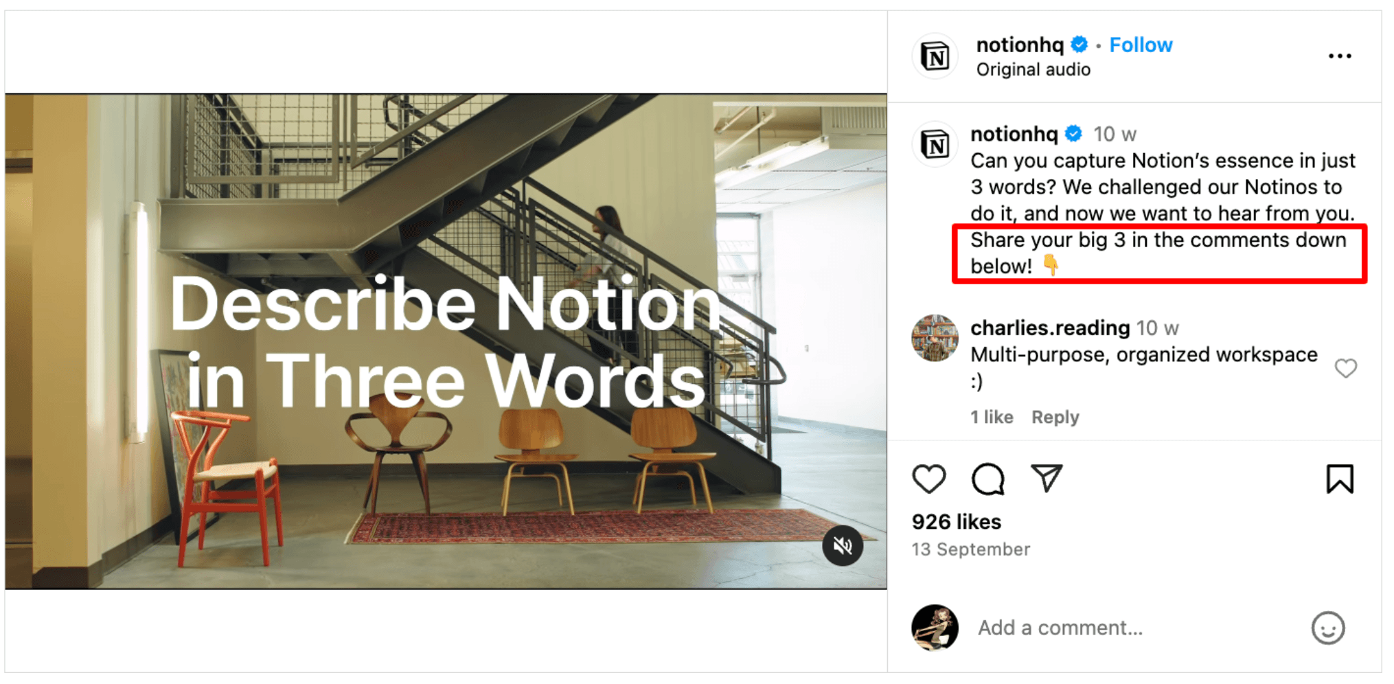 notion social media