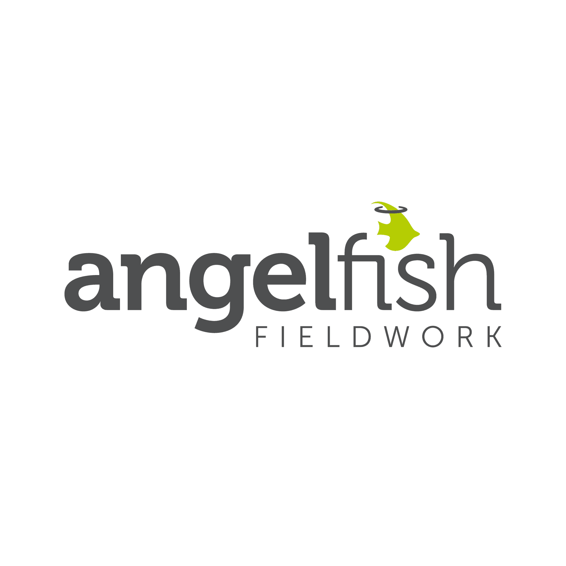 Angelfish Fieldwork – main gallery image