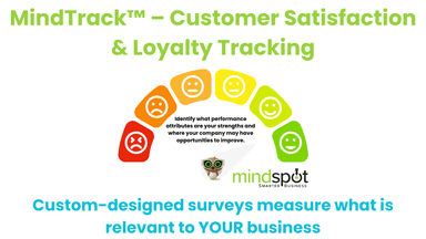 Mindspot Research – gallery image 5