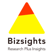 Bizsights LLC logo