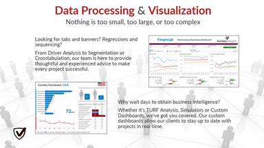 Veridata Insights, LLC – gallery image 2