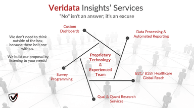 Veridata Insights, LLC – gallery image 5