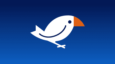 Finch – gallery image 5