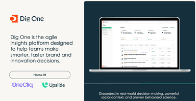 Dig Insights – gallery image 4
